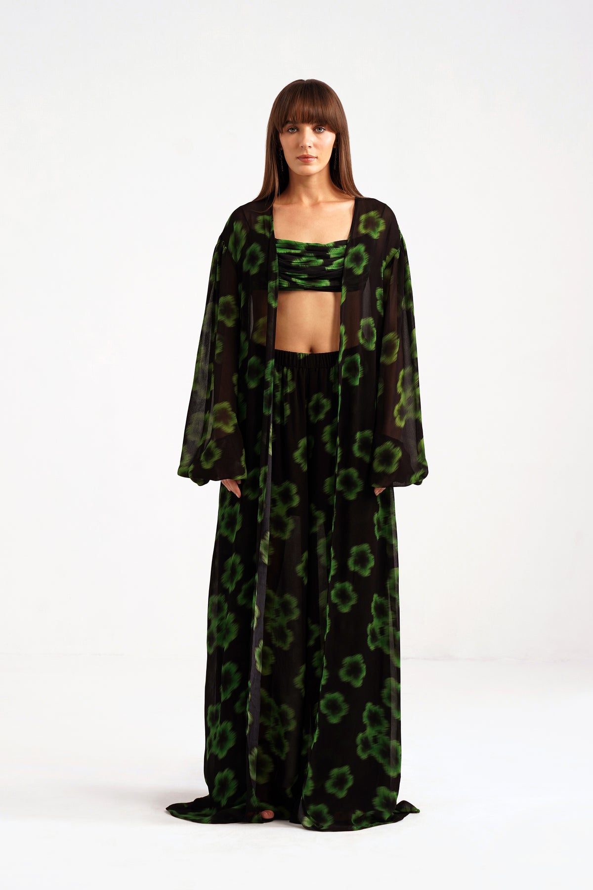 Ninon Printed Flared Georgette Pants