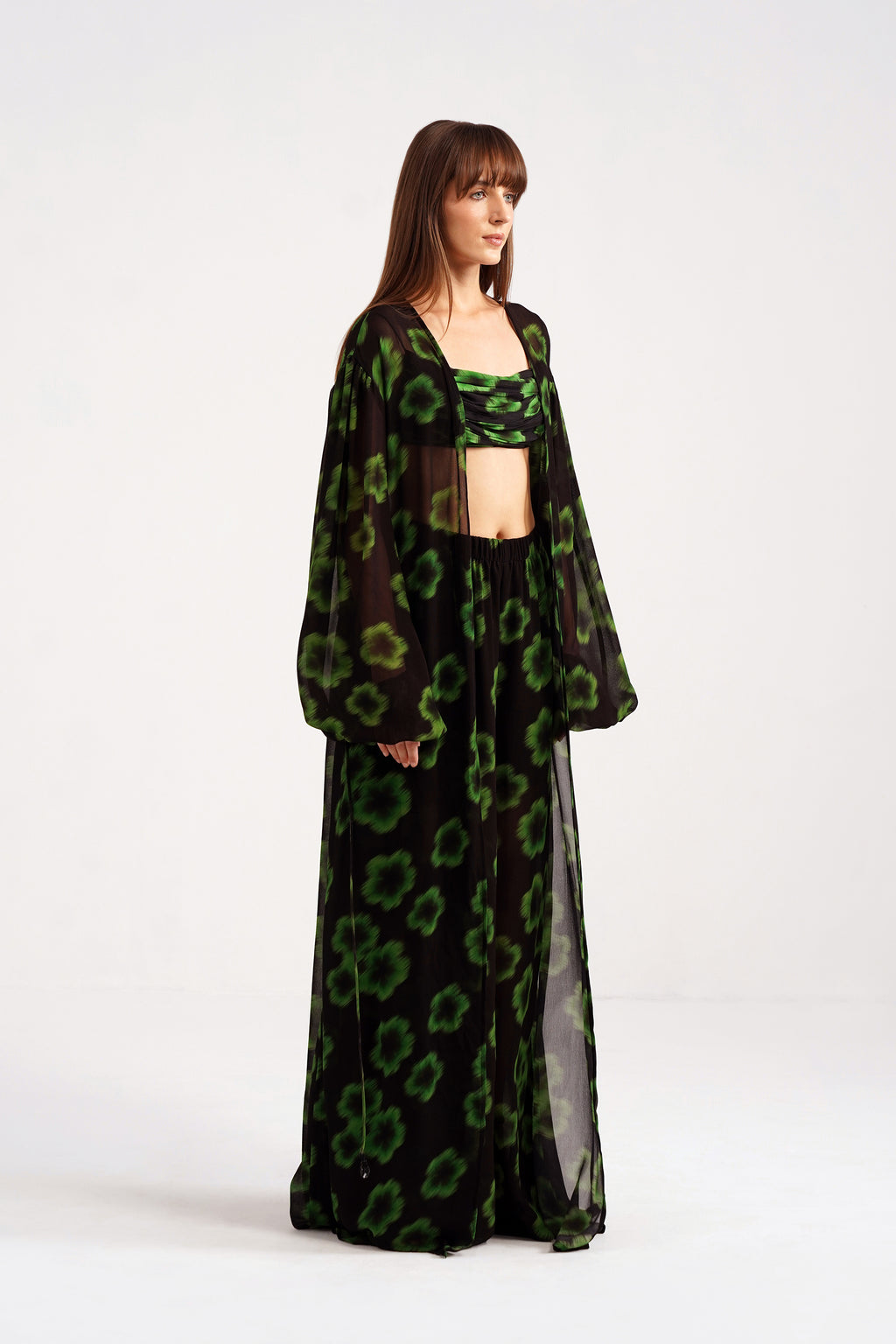 Ninon Printed Flared Georgette Pants